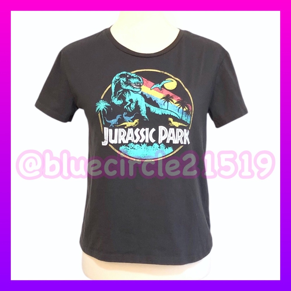 Jurassic World Rainbow Emblem Graphic Print Top Black/Gray
•Size Medium